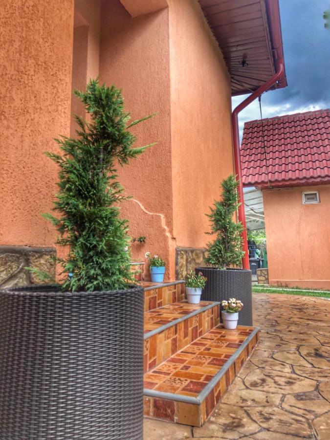 Casa Andra Hotel Baia de Fier Exterior photo